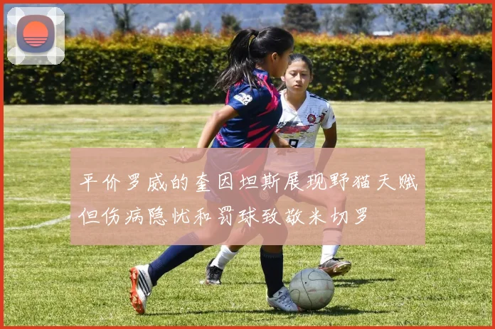 平价罗威的奎因坦斯展现野猫天赋但伤病隐忧和罚球致敬米切罗