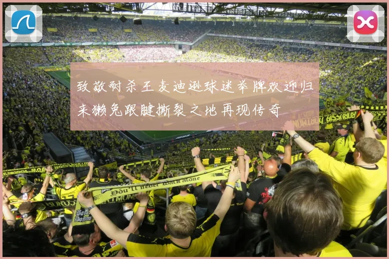 致敬耐杀王麦迪逊球迷举牌欢迎归来獭兔跟腱撕裂之地再现传奇
