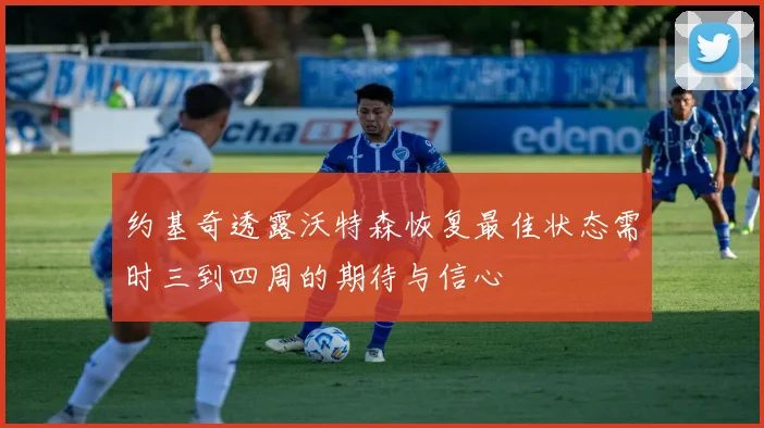 约基奇透露沃特森恢复最佳状态需时三到四周的期待与信心